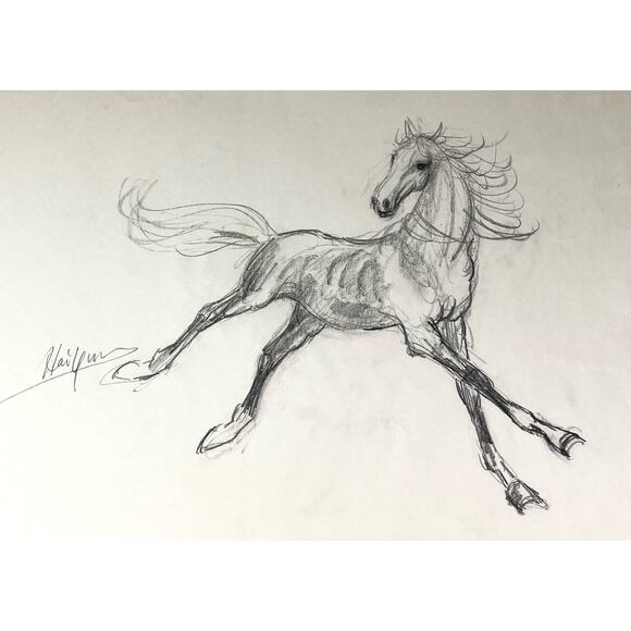 Hai Yun Signed ART HORSE SKETCH Original Frolicking Foal Colt Philly 12x18 Asian - Picture 2 of 4